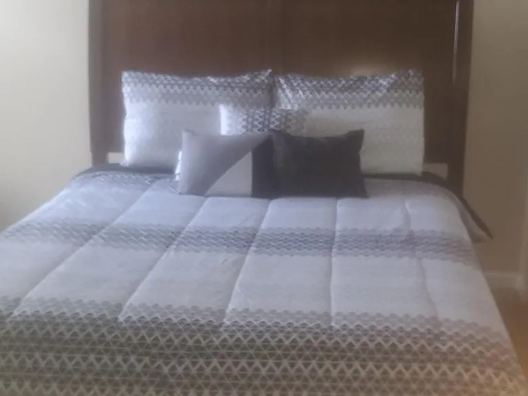 15550 Spotted Saddle Cir — Photo 18