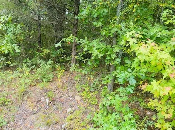 Highland St, Mena, AR 71953