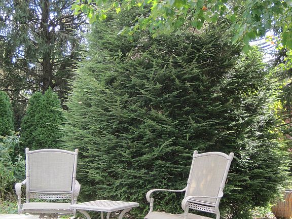 View of small deck
