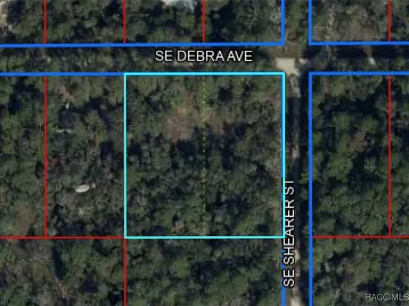 0 Corner Of Debra Shearer, Inglis, FL 34449