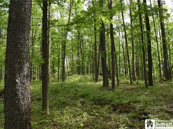 10133 Edward Corners Rd Lot 31, Perrysburg, NY 14129