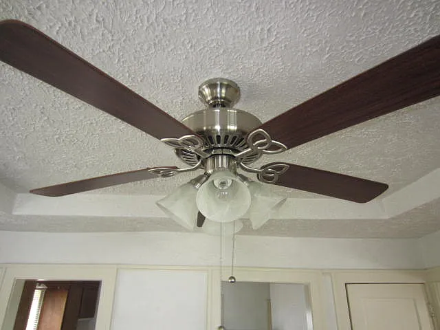 Ceiling fan