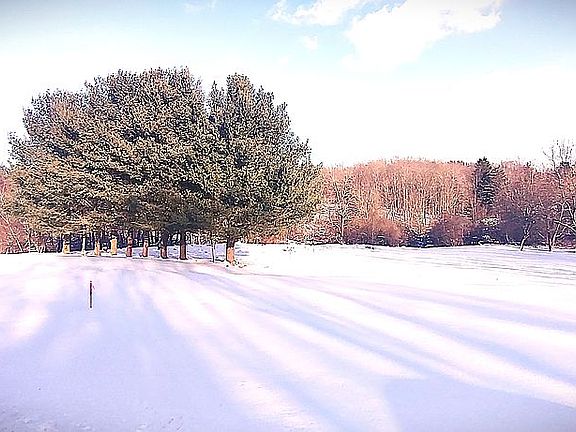 4th image of 0 Arborwood Way Sublot #A1