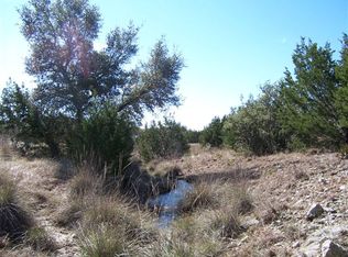 462 Mystic Shores Blvd, Spring Branch, TX 78070