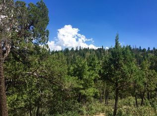 106 Abbey Pl, Ruidoso, NM 88345