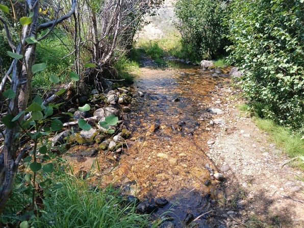Rainey Mountain Rd, Polaris, MT 59746