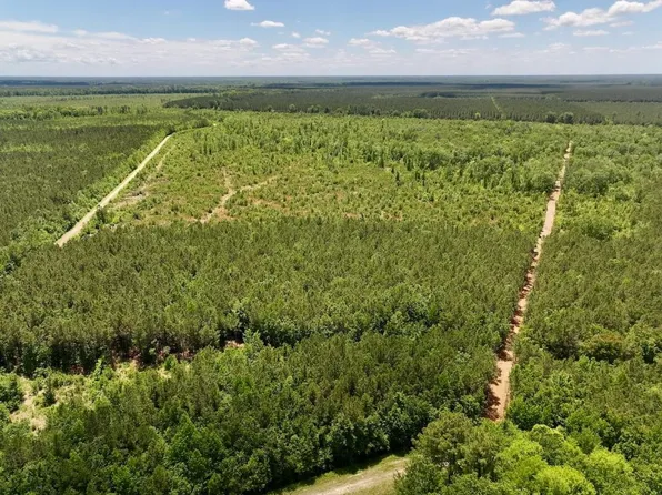 Guinea Mill Rd, Ernul, NC 28527