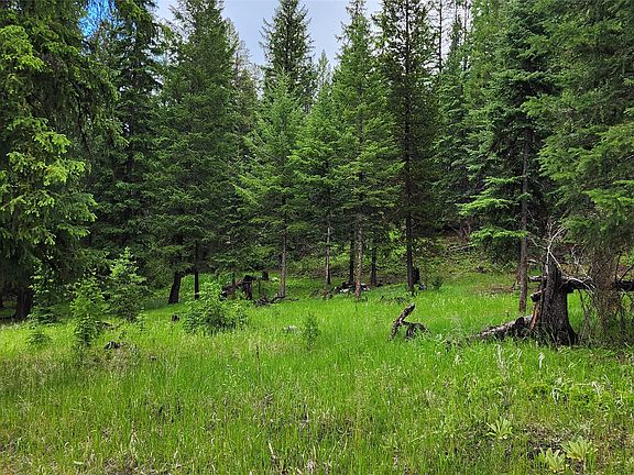 5th image of 1720 Coon Hollow Rd