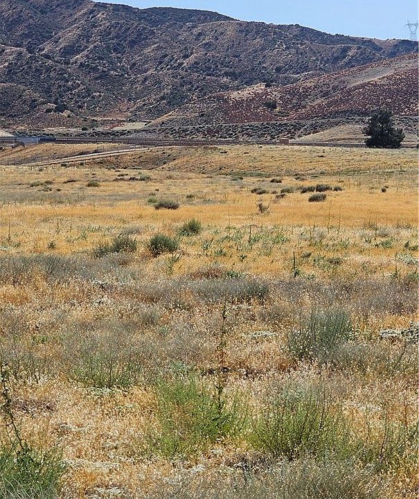 2nd image of 0 100th St W #K-lot 25