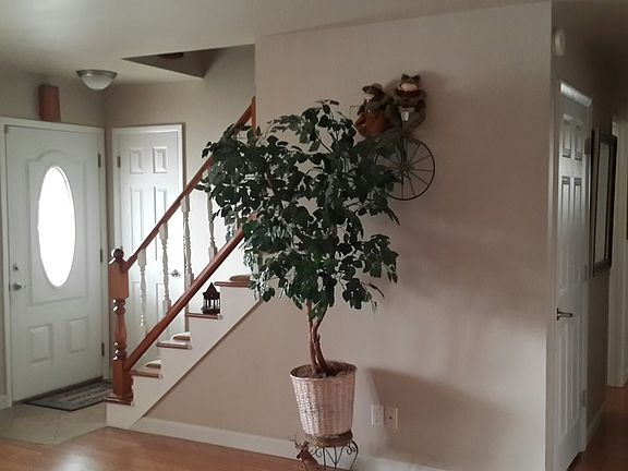 2nd image of 317 Brentwood Ave