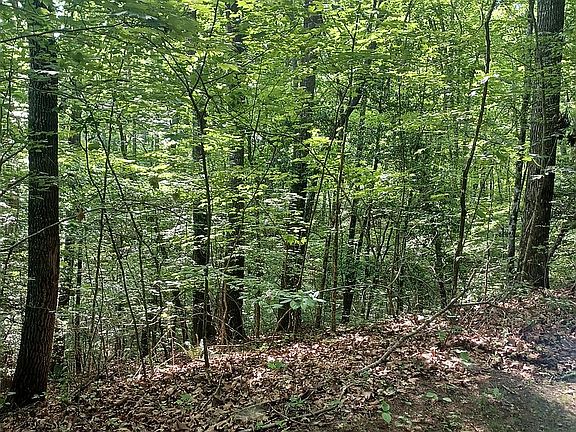 5th image of 0 Shady Knoll Rd #1.50