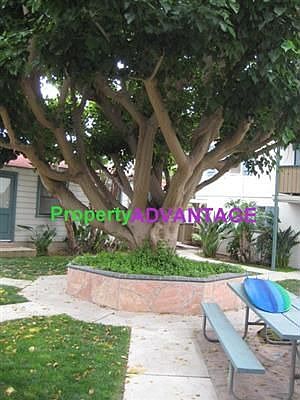 5th image of 1837 S Myers St APT 2