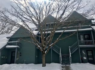 100 Wildflower, Ellicottville, NY 14731