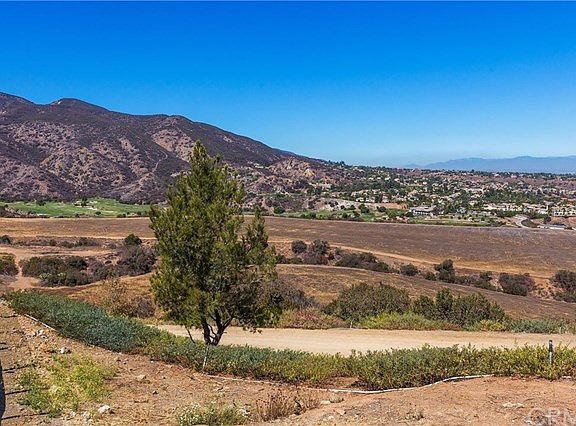 VIEW from the rear yard.