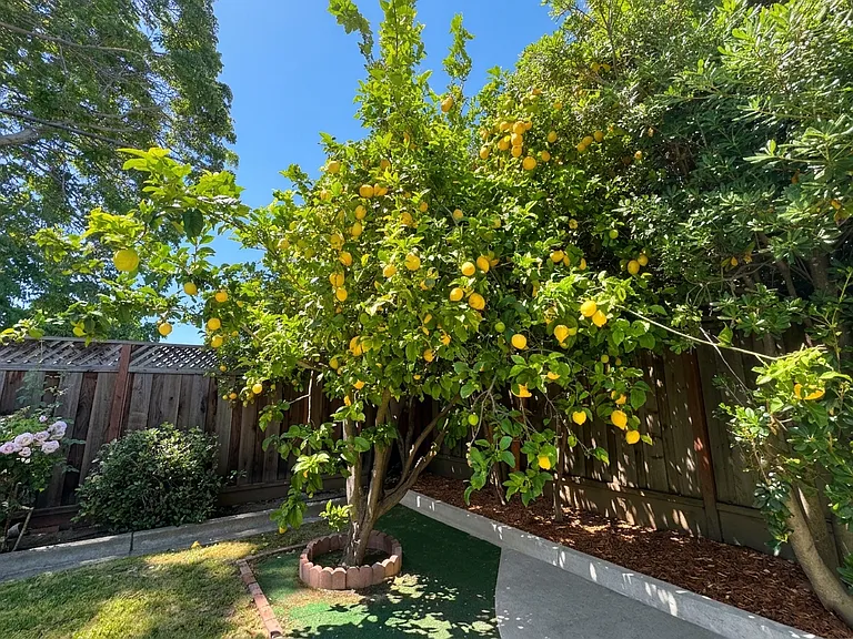 2062 Leon Dr — Photo 15