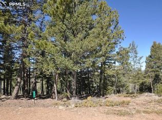 247 Viewcrest Way, Florissant, CO 80816