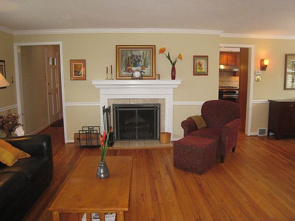 Living room wood-burning fireplace