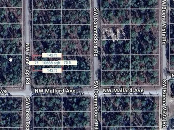NW Tree Top Rd #31, Dunnellon, FL 34431
