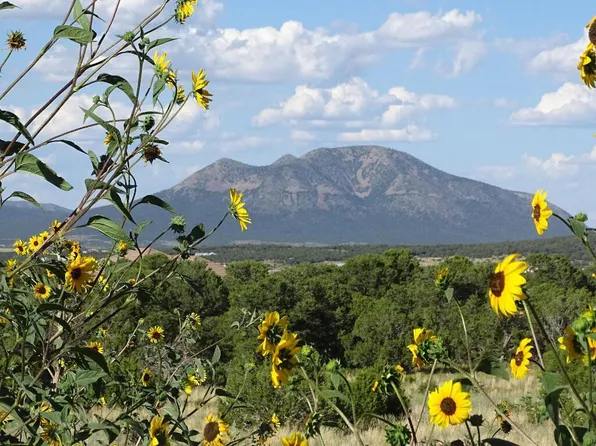 18 Thunder Hawk Rdg, Tijeras, NM 87059