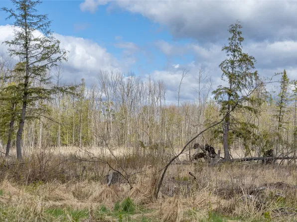 40 Acres Anderson Road & School Road, Glen Flora, WI 54526