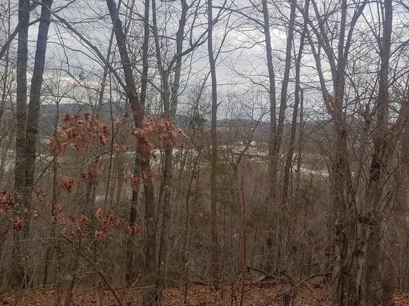 0 N Begley Branch Rd, Byrdstown, TN 38549