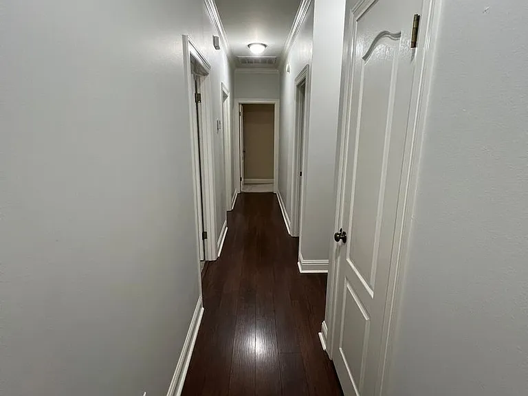 10513 Plum Creek Dr — Photo 12
