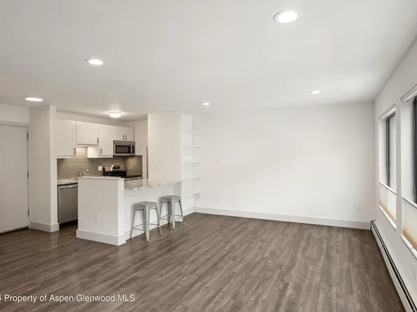 725 E Main St #209, Aspen, CO 81611