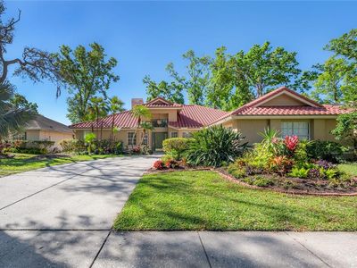 505 Stratfield Dr, Lutz, FL, 33549