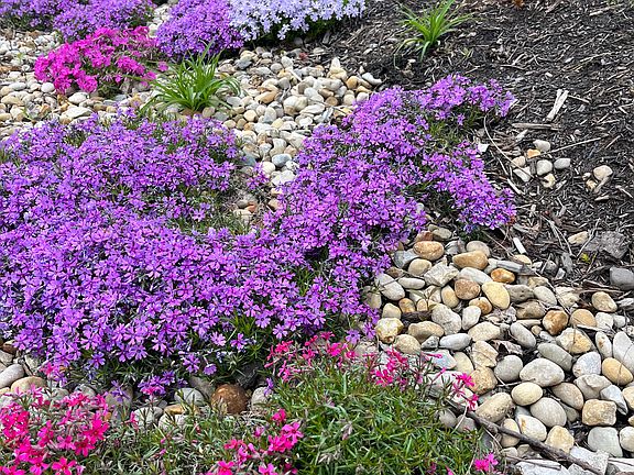 Colorful front yard