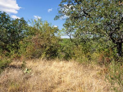 7 State Highway 6, Moran, TX, 76464