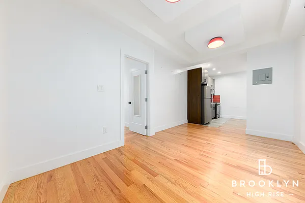 Rented by Brooklyn High Rise LLC | media 38