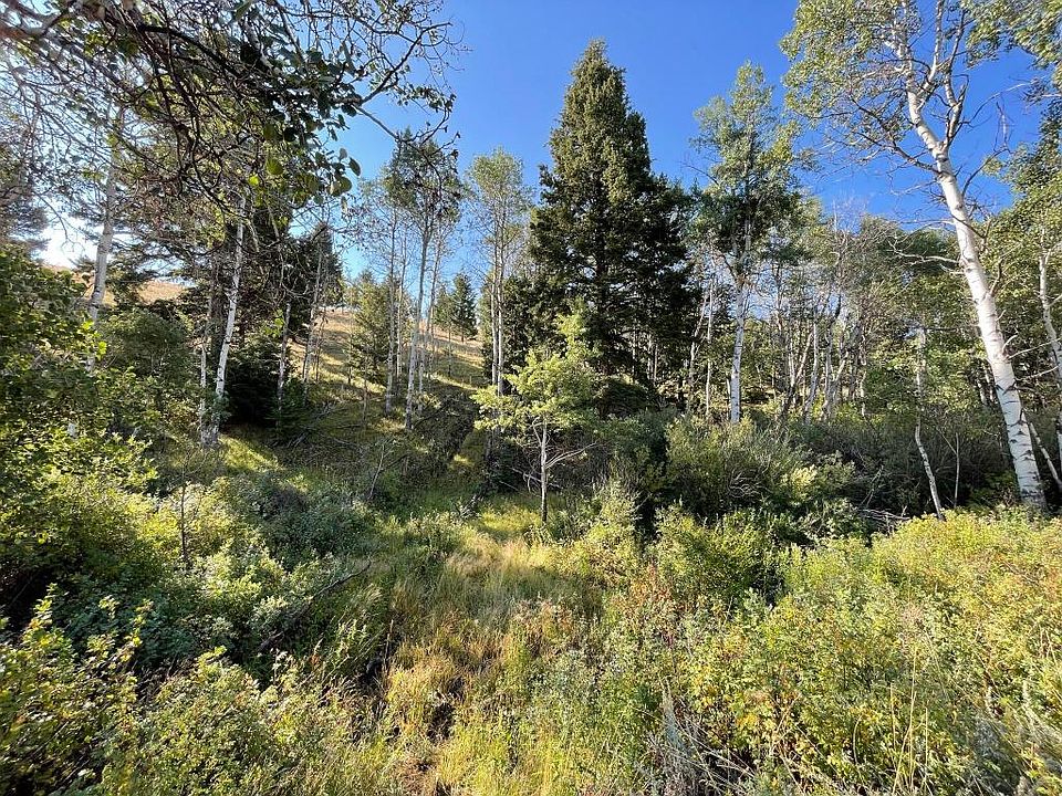 119120 Lone Pne, Ramsay, MT 59748 MLS 22213217 Zillow