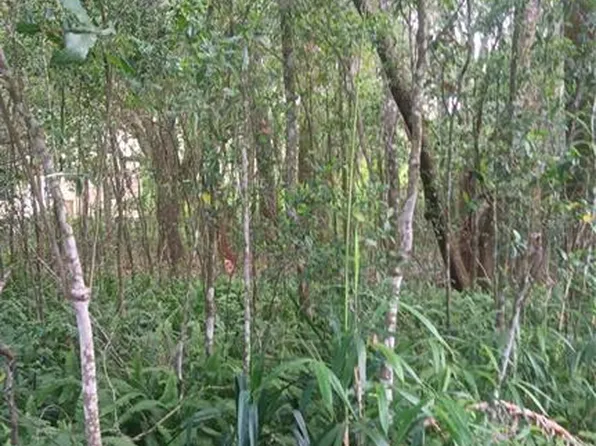 0 Korbus Rd #160, Brooksville, FL 34604