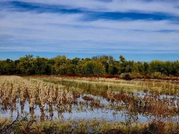 1 Conservation Ln, Metamora, IL 61548