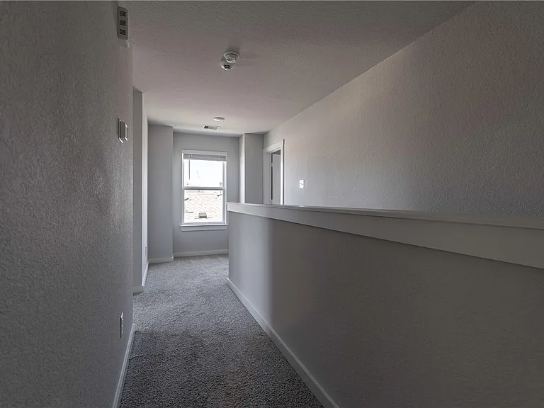 956 Lady Bird Ln — Photo 33
