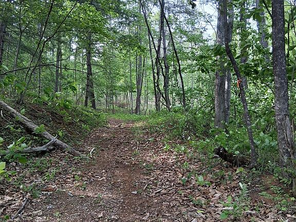 4th image of 0 Robinson Gap Rd
