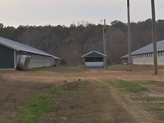 2nd image of 5589 Orchid Rd