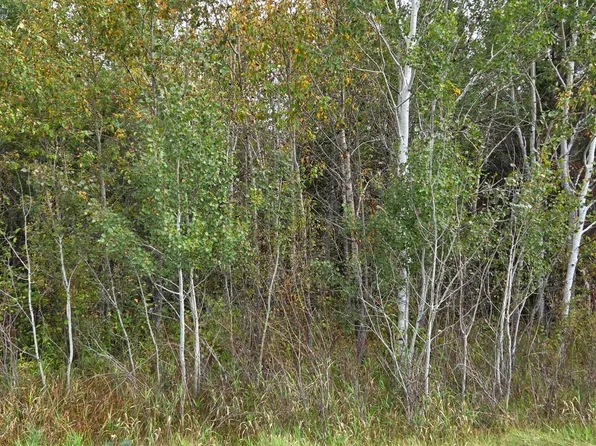 2nd Ave E, International Falls, MN 56649