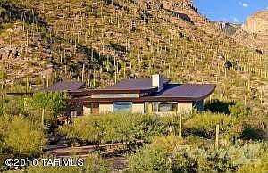 Front View Mountain Backdrop