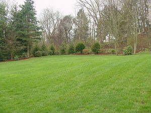 rolling lawn