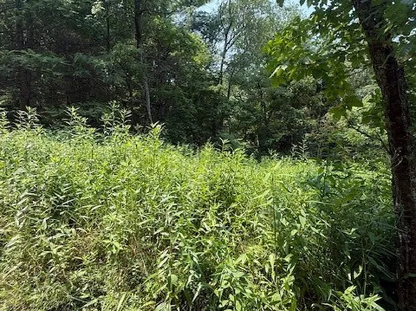 TBD Starlite Drive, Crumpler, NC 28617