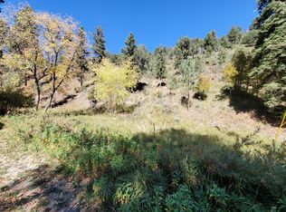 448 Flume Canyon Dr, Ruidoso, NM 88345