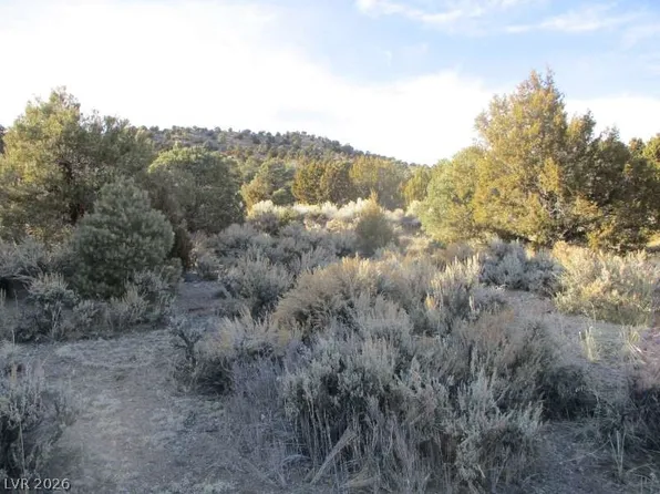 State Highway 322 Ac #30.15, Pioche, NV 89043