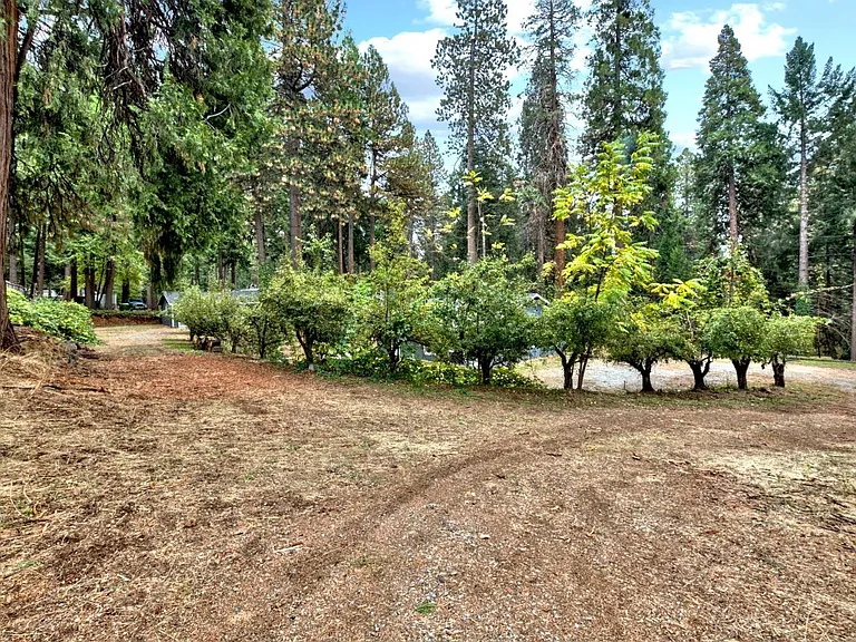 5600 Pony Express Ct — Photo 17