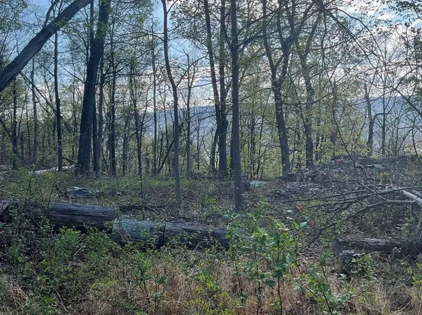 LOT-44A Mountain Top Rd, Paw Paw, WV 25434