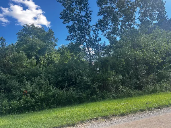 W Ranger Rd Lot 119, Perrinton, MI 48871