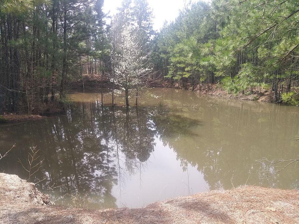1st image of Cr 3204