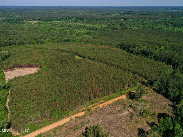 Triplett Rd, Ackerman, MS 39735