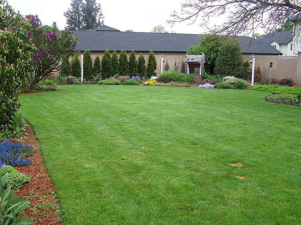 back lawn