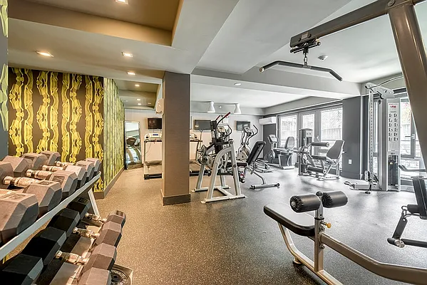Rented by Bold Marketing | media 5